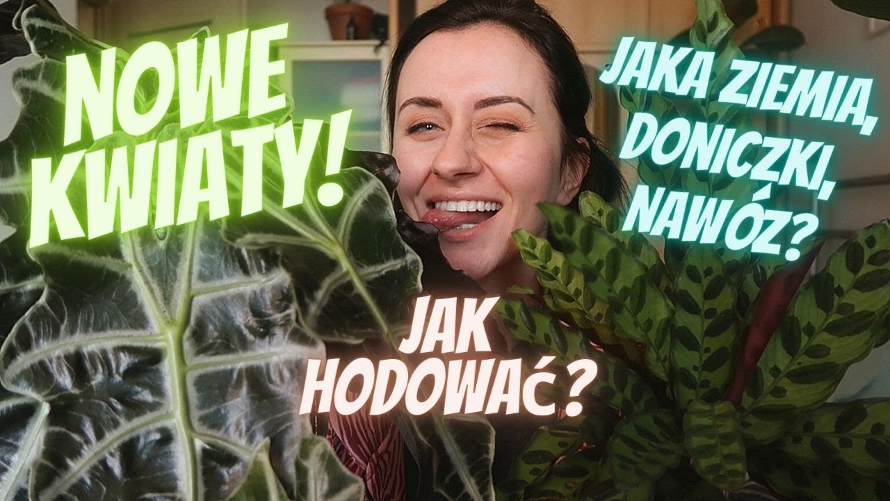 1000 zł na kwiaty! Nowości & wszystko o domowej dżungli
