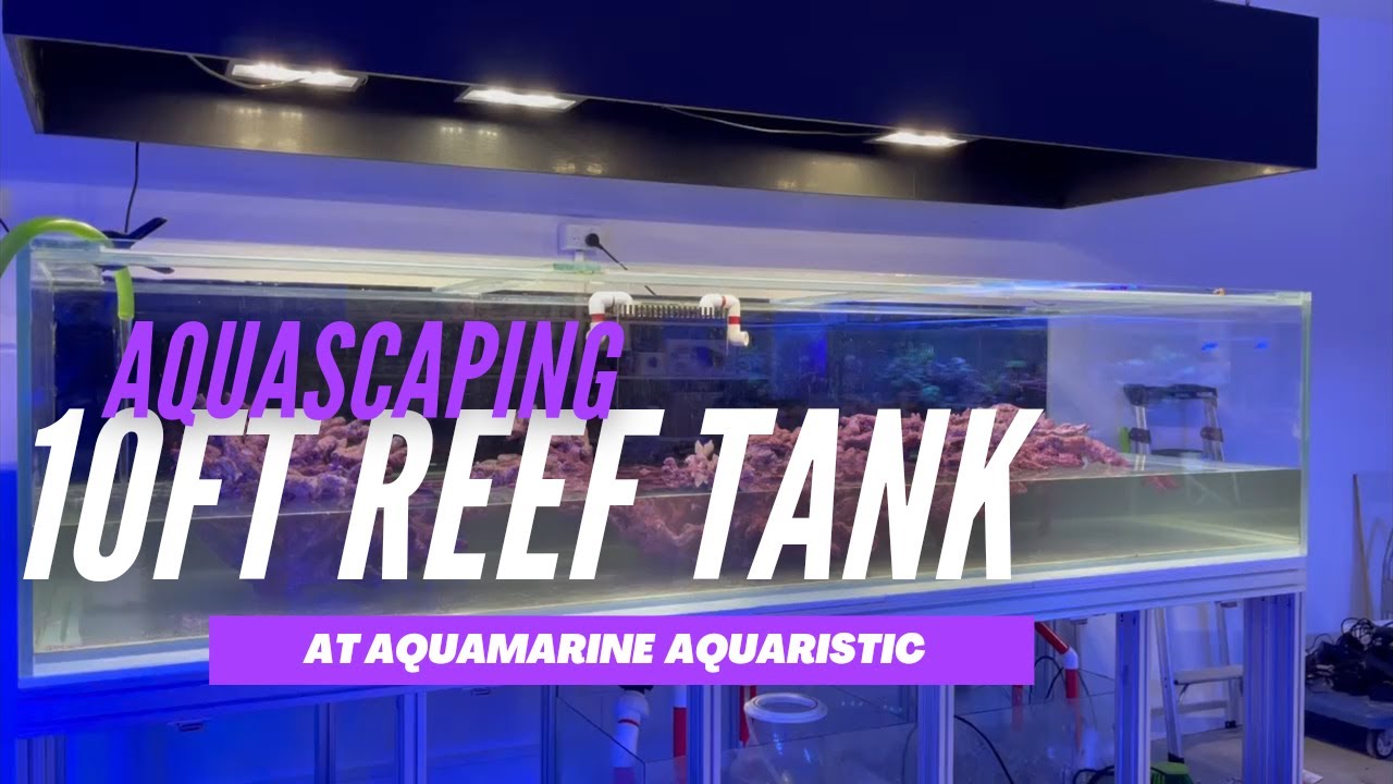 Aquascaping a huge 10ft reef tank