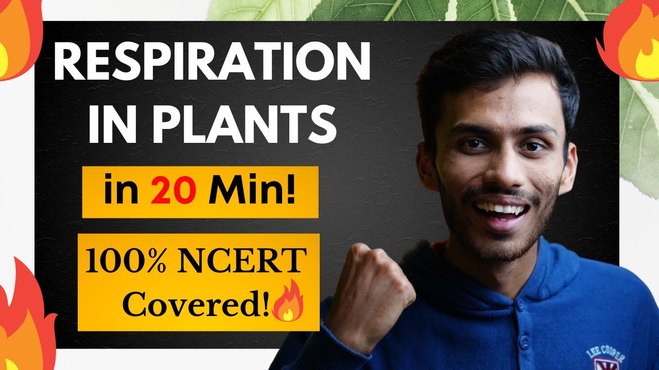 Respiration in Plants FAST One SHOT!🔥 | Full Revision in 20 Min | NCERT | Class 11 | NEET