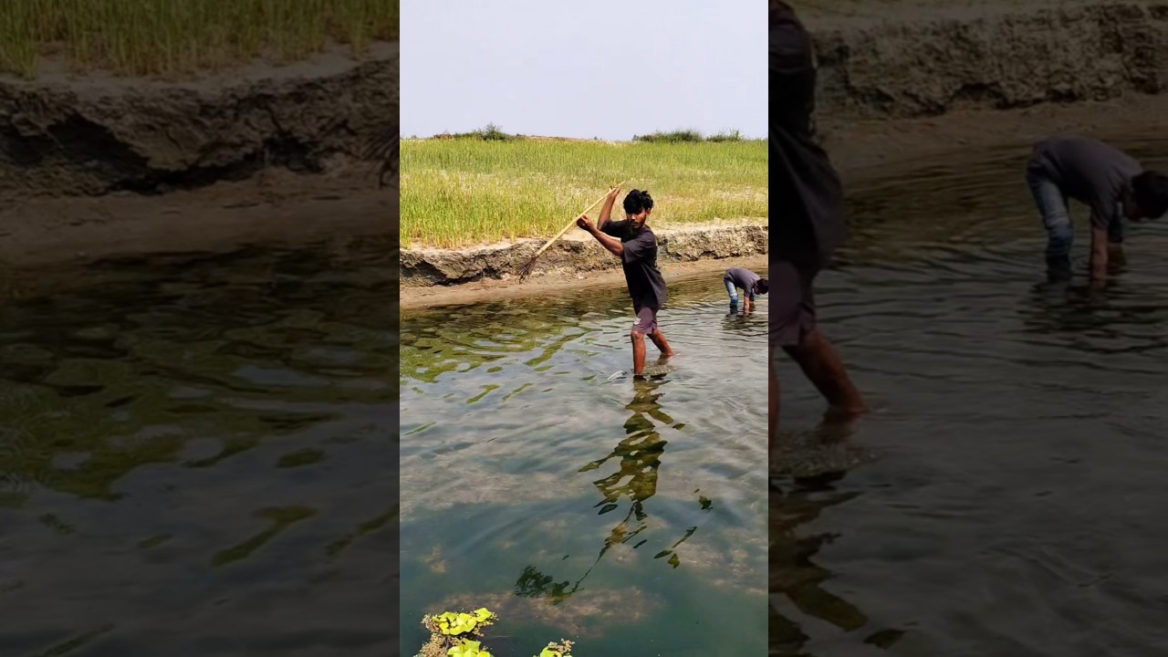 Big catch that made the whole village proud #fishing #shorts