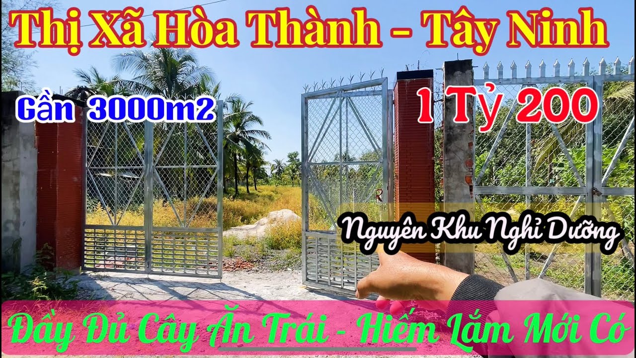 ( Đã Bán) Không Xem Là Tiếc! Gần 3.000m² Cực Đẹp 💥 Đầy Đủ Cây Ăn Trái – Chỉ 1T2 Ở Hoà Thành Tây Ninh