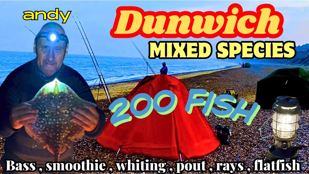 200 FISH FROM THE GULLIE !🎣😱| Hectic Dunwich Session | Bass Rays Smoothounds & more | Sea Fishing UK