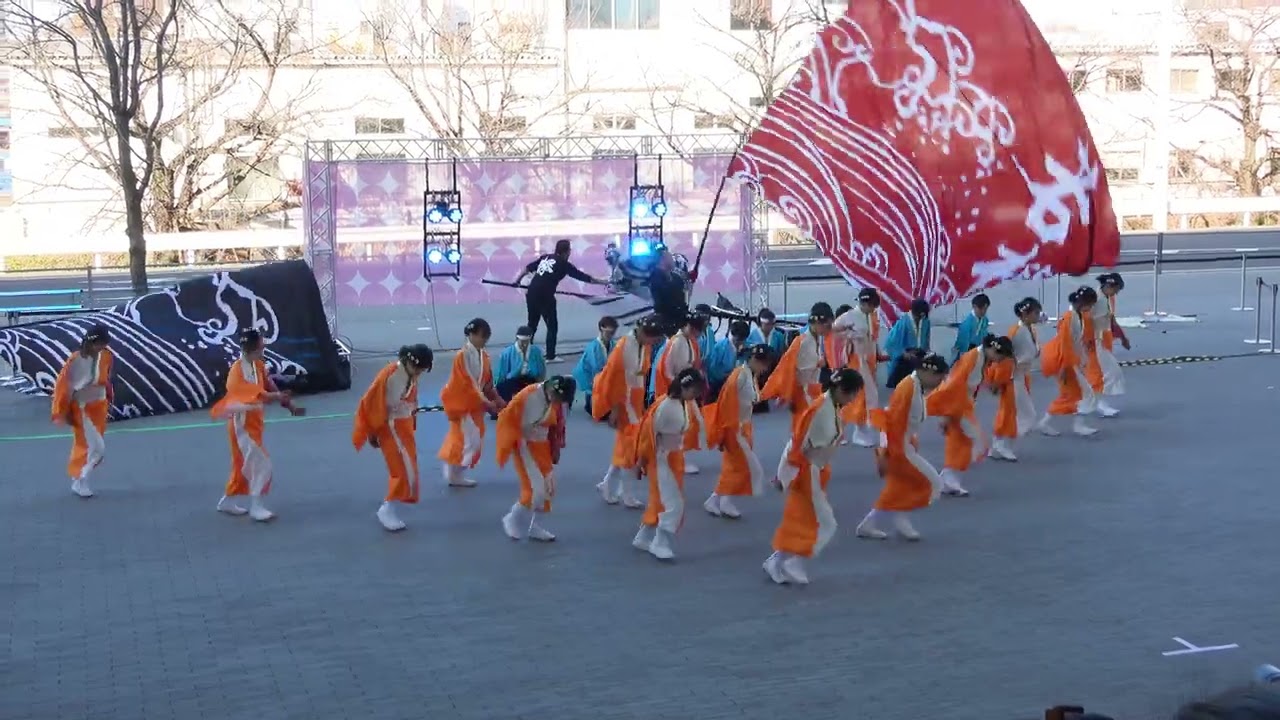 サクラタウンよさこい2023師走祭 ～ 若欅-wakakeyaki-