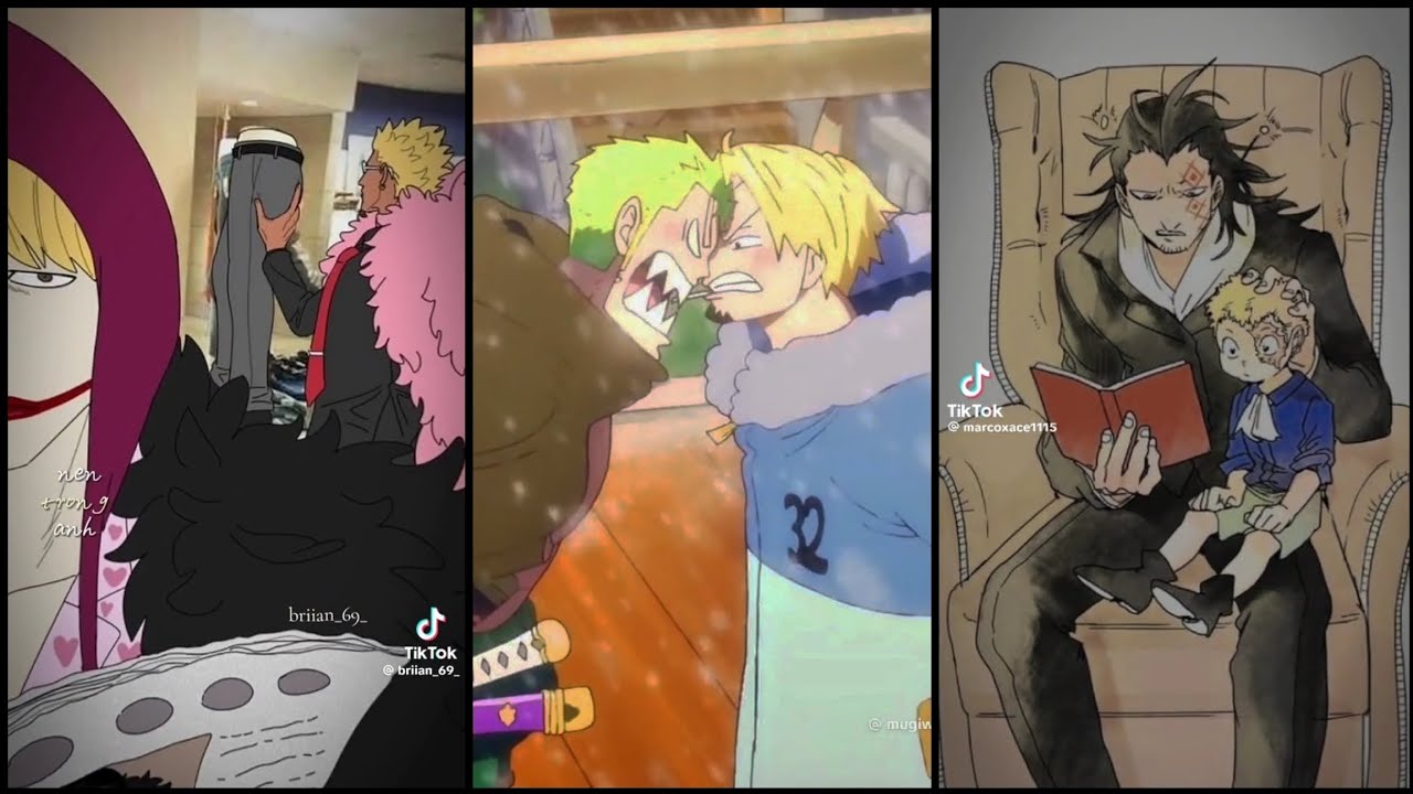 [ĐAM MỸ] Tik tok one piece OTP #45