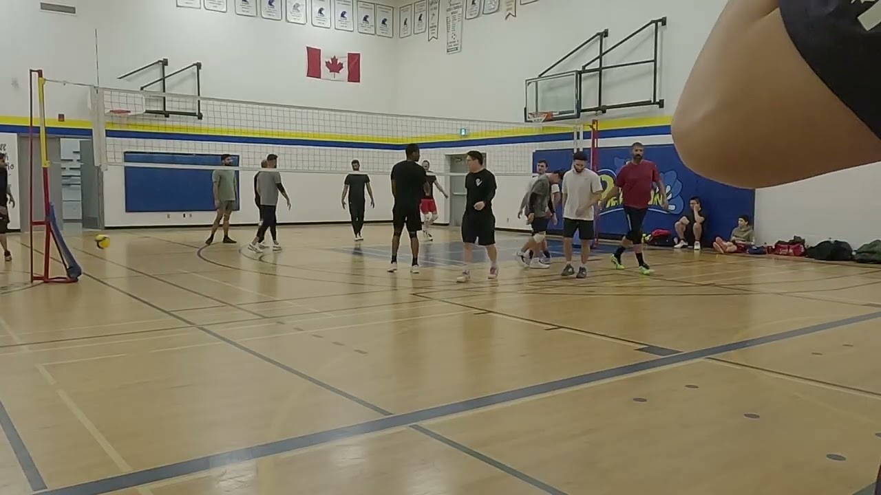 OAVL Tournament (March 8th, 2025) - Animal Crackers Vs. Predators