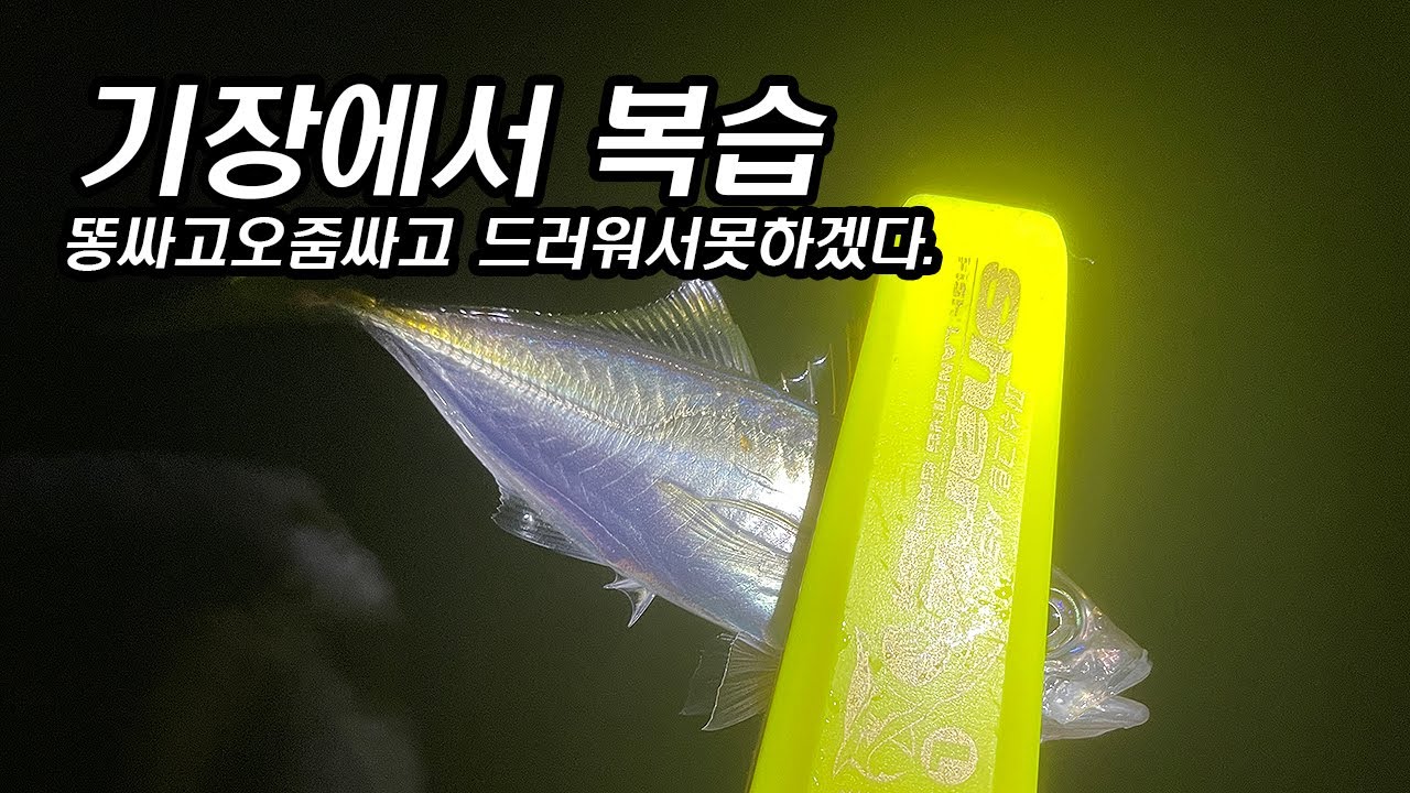 아징 / ABUGARCIA REAL FINESSE PROTO TYPE ERFS-60PRO-FS / 알리 TEBEN LS 800PRO