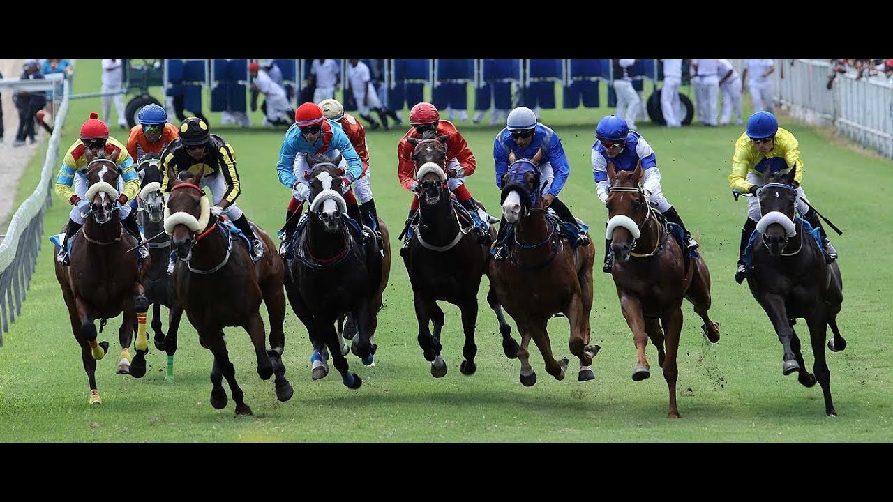 FAITES VOS COURSES - 19th Meeting 2019 Season