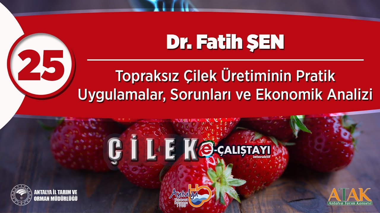 25 Çilek E-Çalıştayı - Topraksız Çilek Üretiminin Pratik Uygulamalar, Sorunları ve Ekonomik Analizi