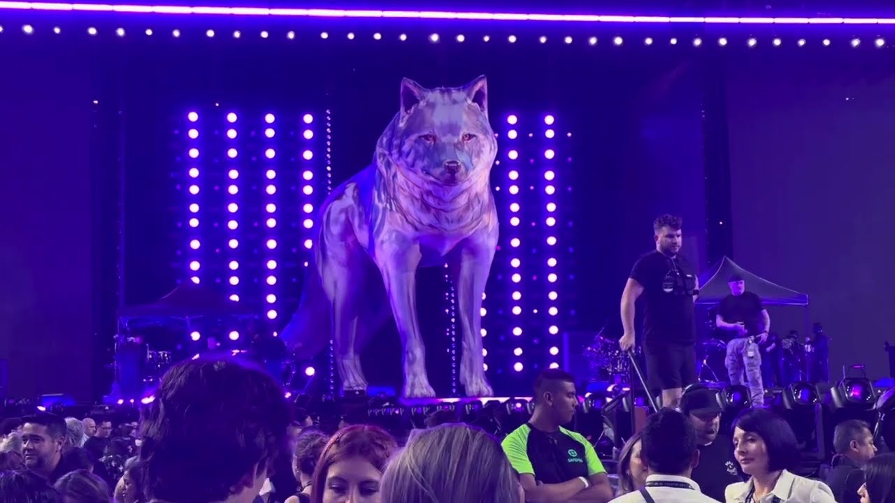 GUADALAJARA 1/2 SHAKIRA  LAS MUJERES YA NO LLORAN WORLD TOUR 2025 GUADALAJARA MEXICO 16 03 25