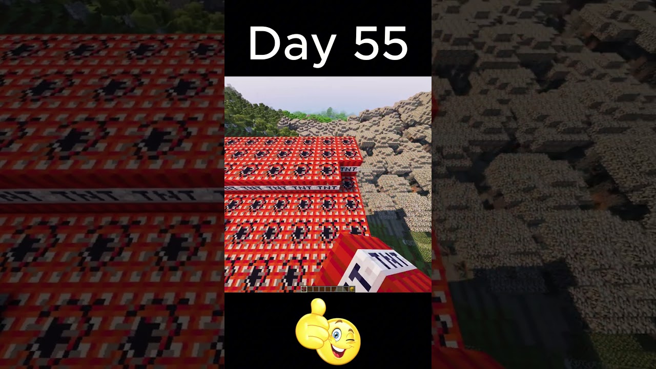 Day 55✅