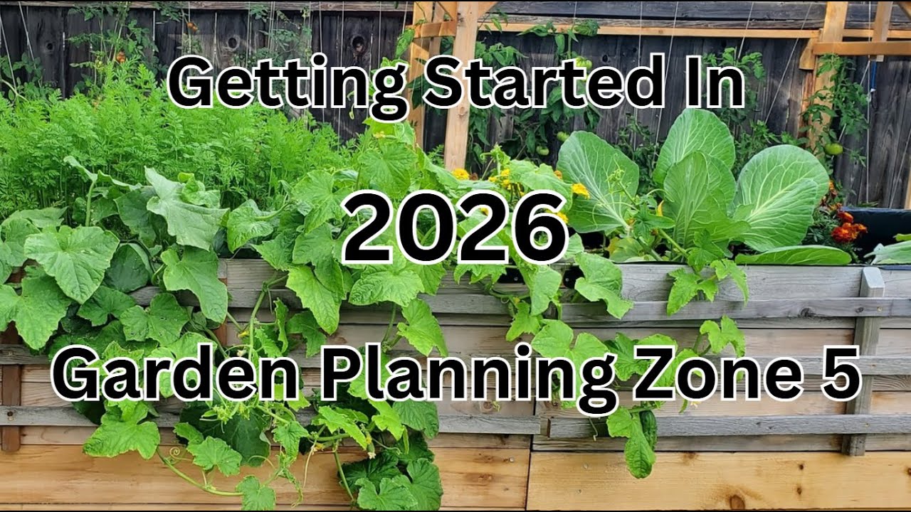 2026 Garden Planning in Zone 5