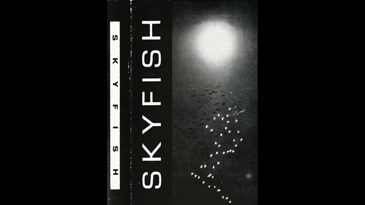 Skyfish - Jumping Into Each Other