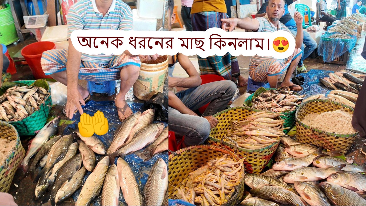 পুকুরের এবং নদীর সব ধরনের মাছের অনেক দাম।🔥 Doyel  Kotha