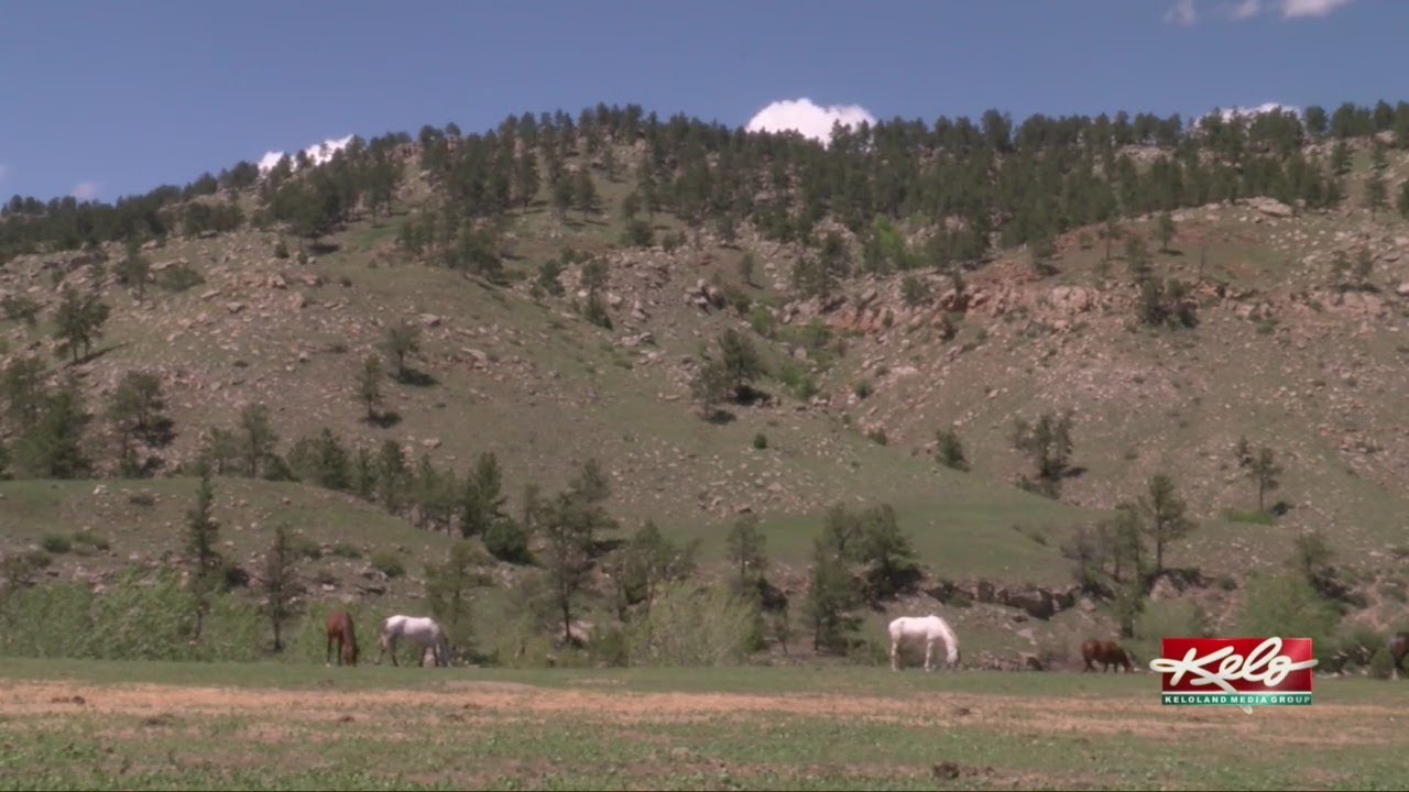 Visiting the Black Hills Wild Horse Sanctuary