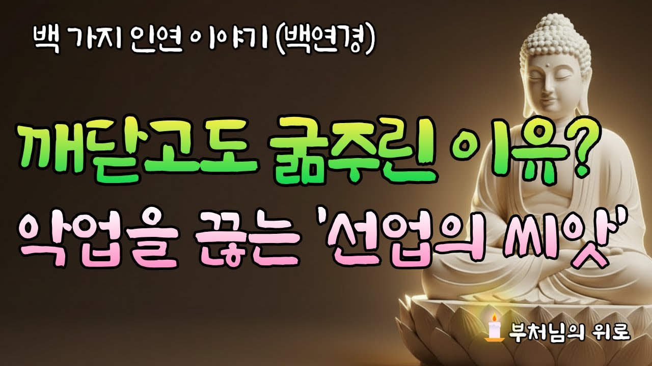 죽는 순간까지 굶주렸던 리군지 비구, 그를 결국 해탈로 이끈 단 하나의 '선업의 씨앗' [ 부처님말씀  불교명언  부처님의위로 ]