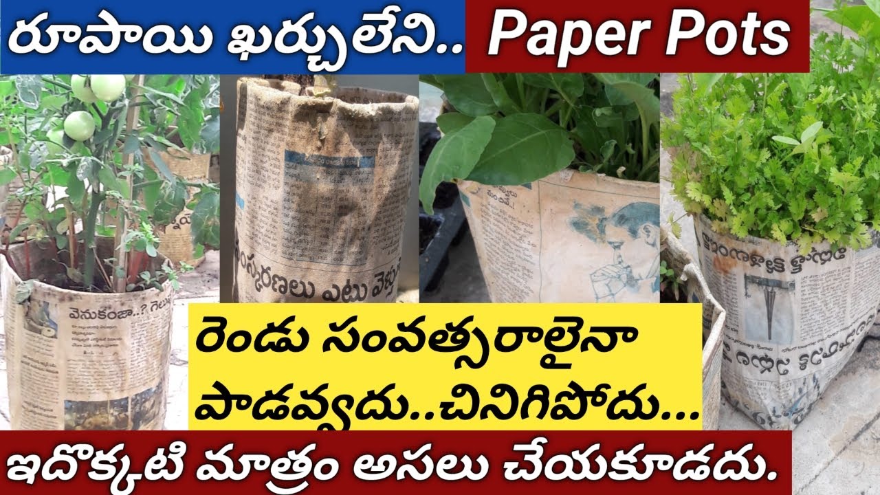 రూపాయి ఖర్చులేని పేపర్ పాట్ తయారీ విధానం/super స్ట్రాంగ్ గా ఉంటుంది/how to make paperpots 