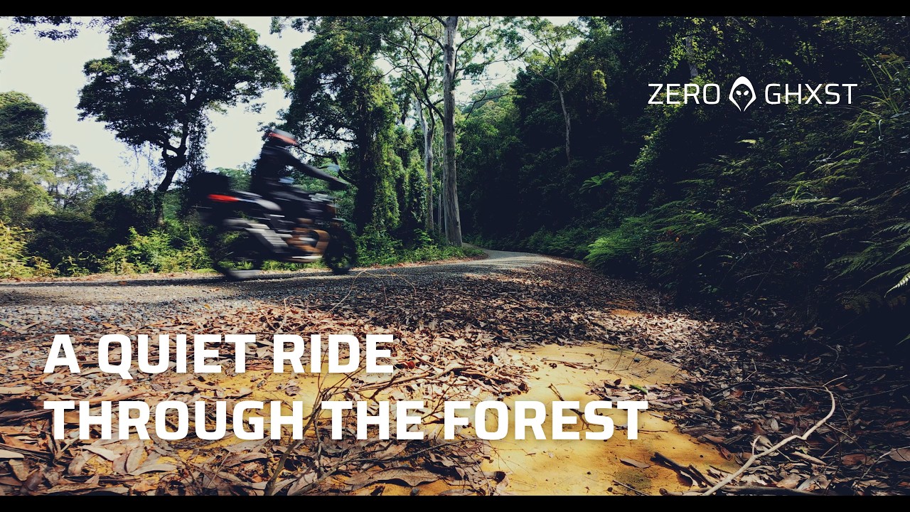 A Quiet Ride Through The Forest