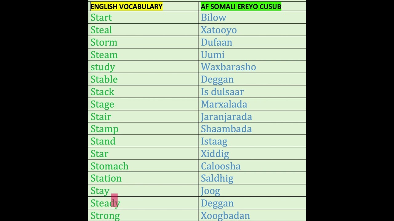 ENGLISH VOCABULARY
