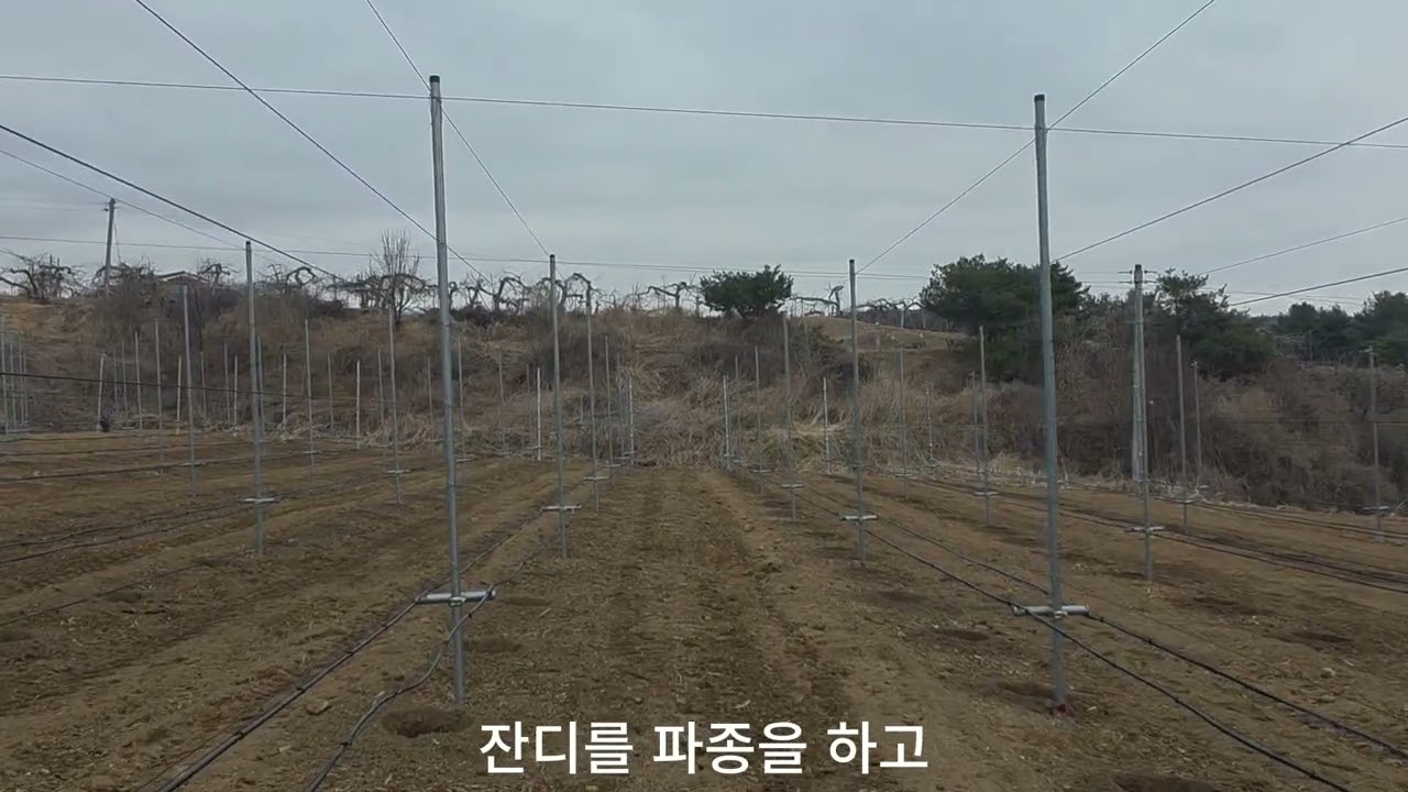 이제 시작