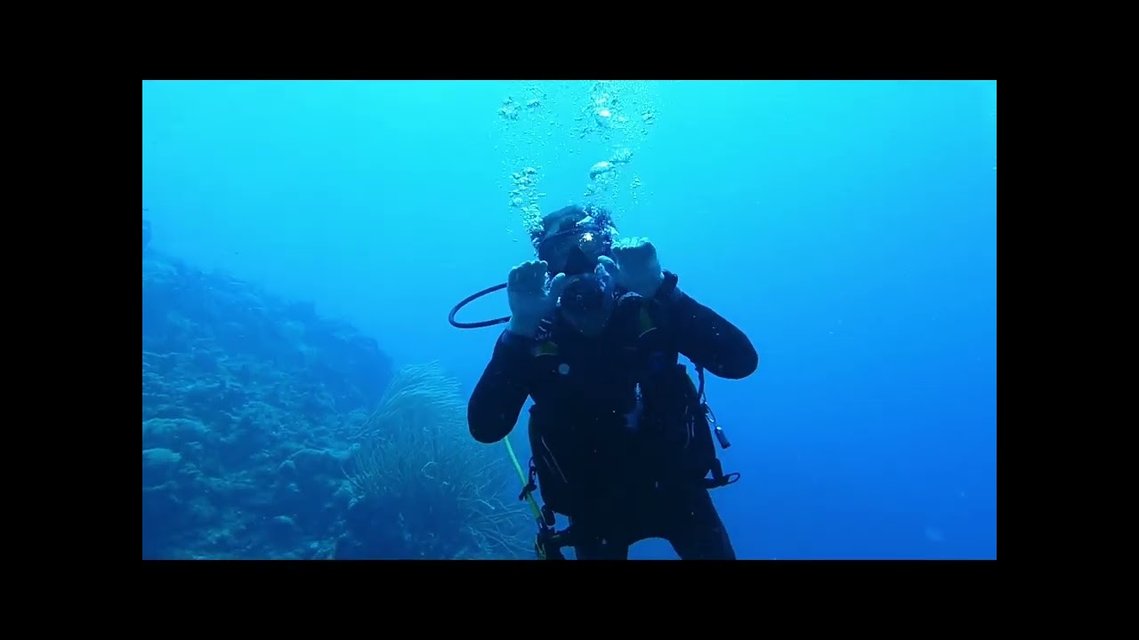 BONAIRE DIVES  2026 2 3 26 TO 2 17 26