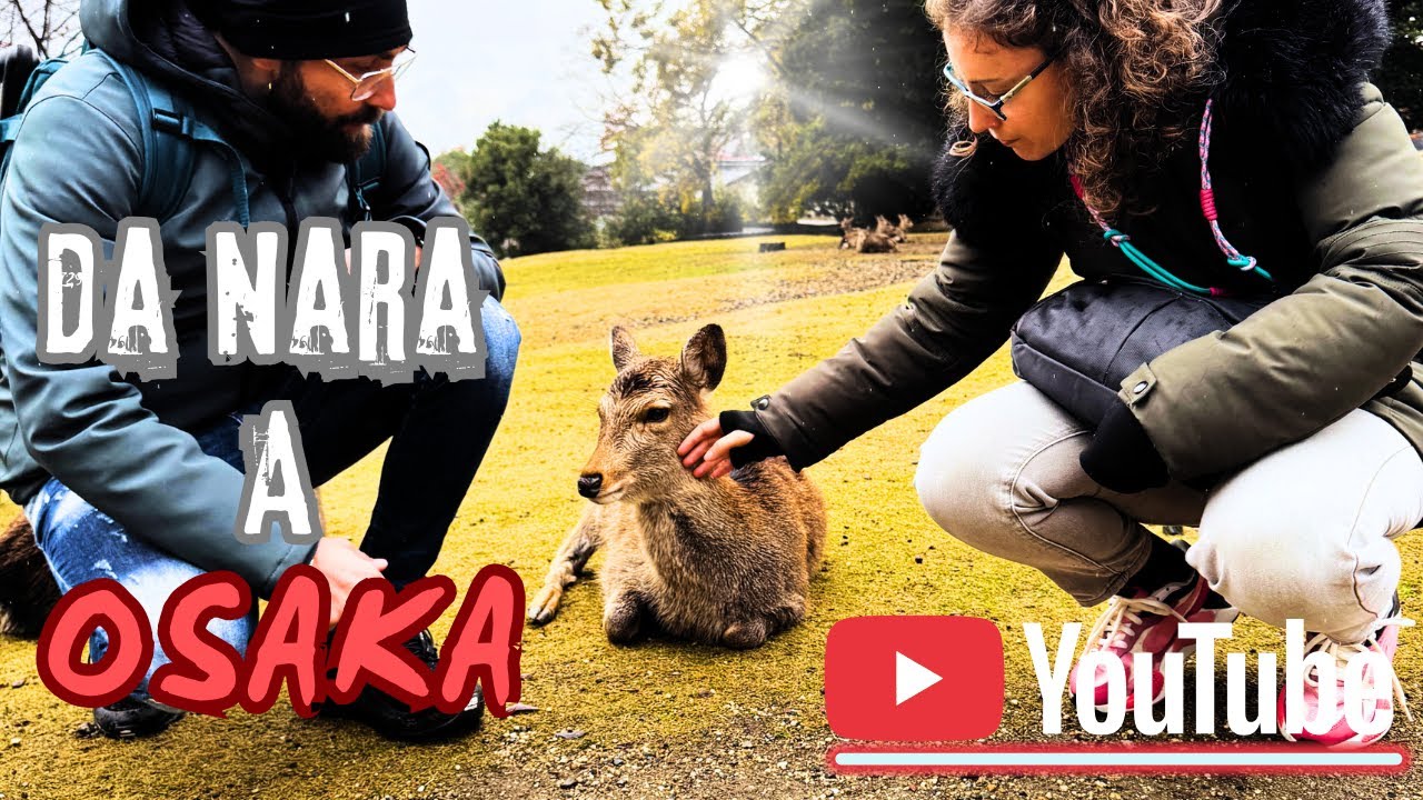 Da Nara a Osaka: cervi sacri, street food e Universal Studios Japan🦌🇯🇵