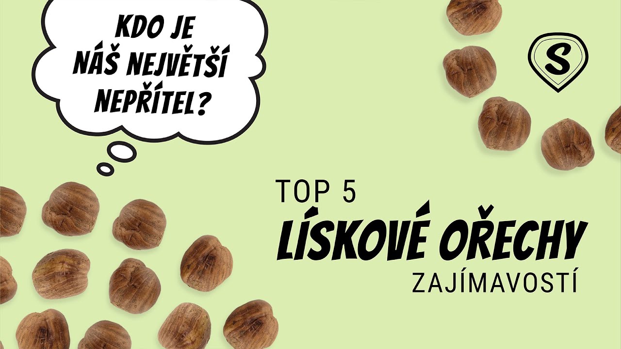 Kdo je největší nepřítel lískových ořechů? | TOP 5 Zajímavostí o Lískáčích