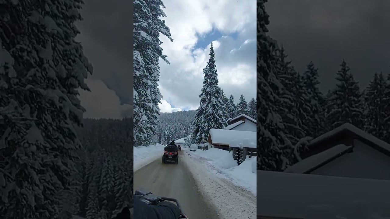 🔴 LIVE TUBE 🔴🤯❄️🤯 ATV PREDEAL - CABANA SUSAI❄️