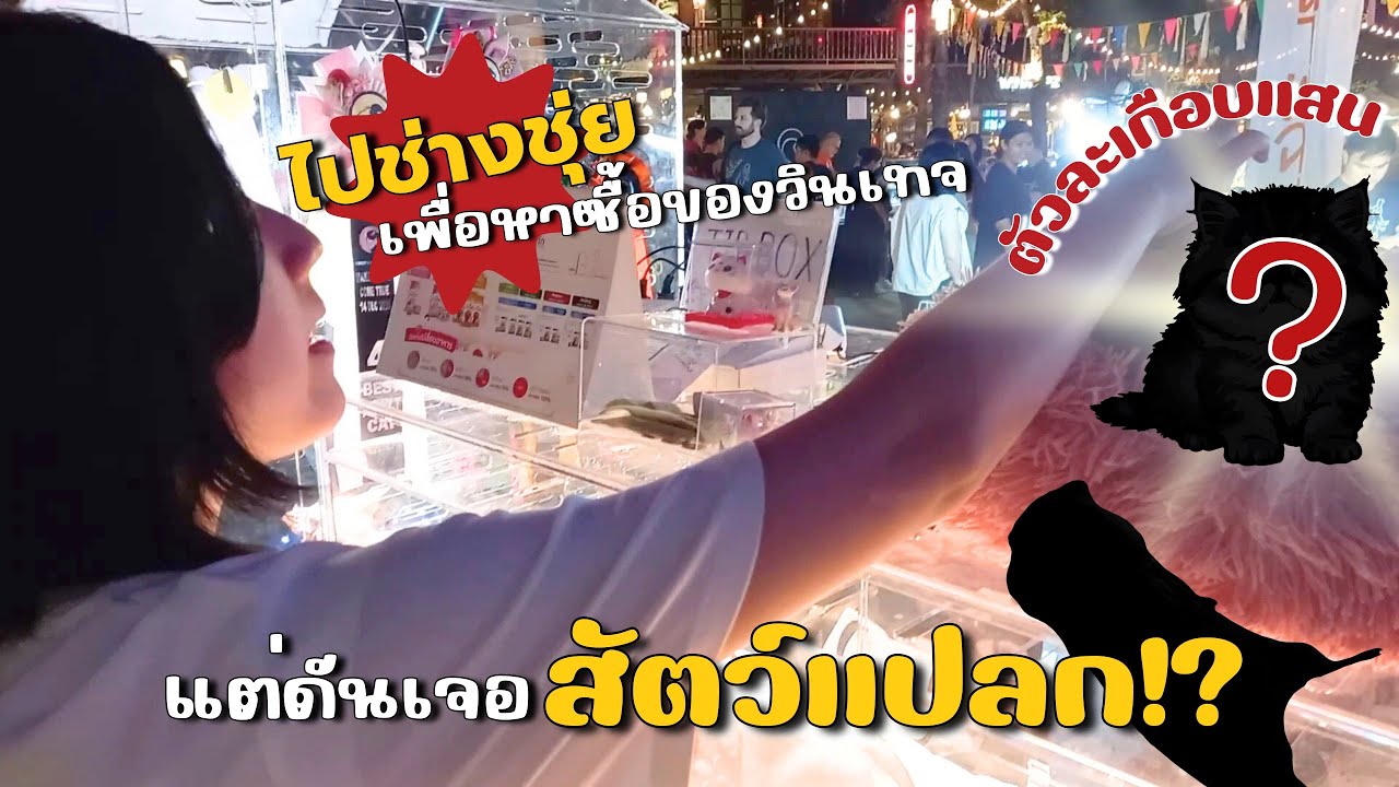 มาเดินช่างชุ่ย ว่าจะซื้อของวินเทจ แต่เจอสัตว์แปลกเต็มไปหมด!! | Bell.paritp