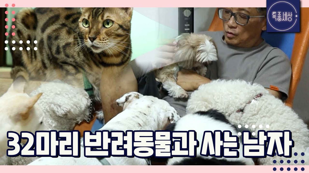 아파트에 32마리의 반려동물과 함께 사는 남자의 사연｜특종세상 707회