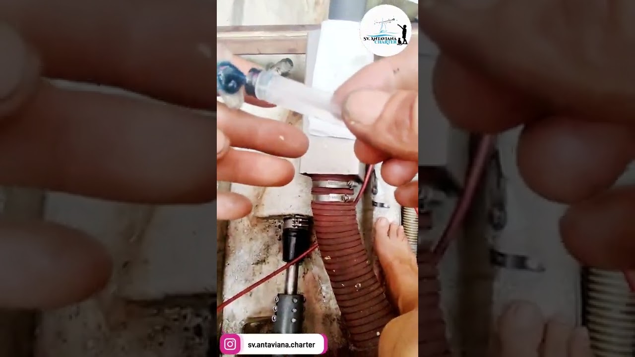 Engrase bocina seca Volvo en velero
