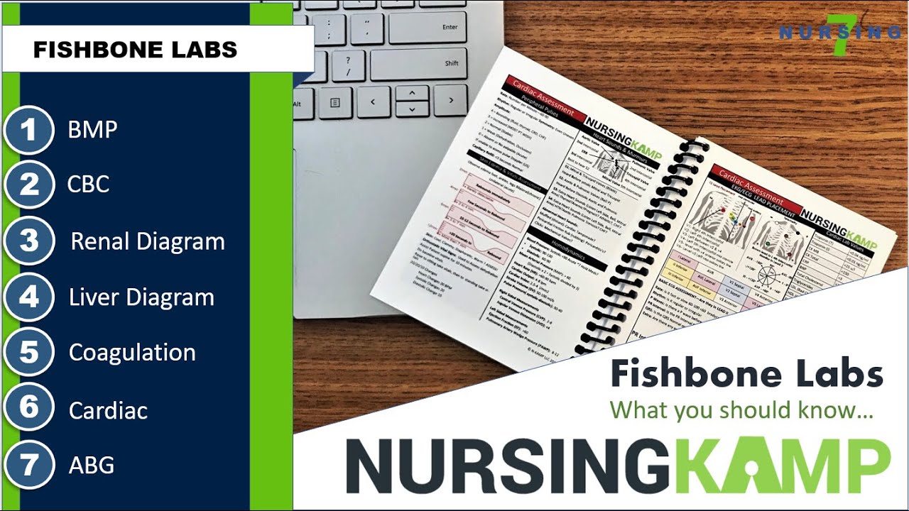 Mastering  Lab Fishbones with Nursing KAMP Course