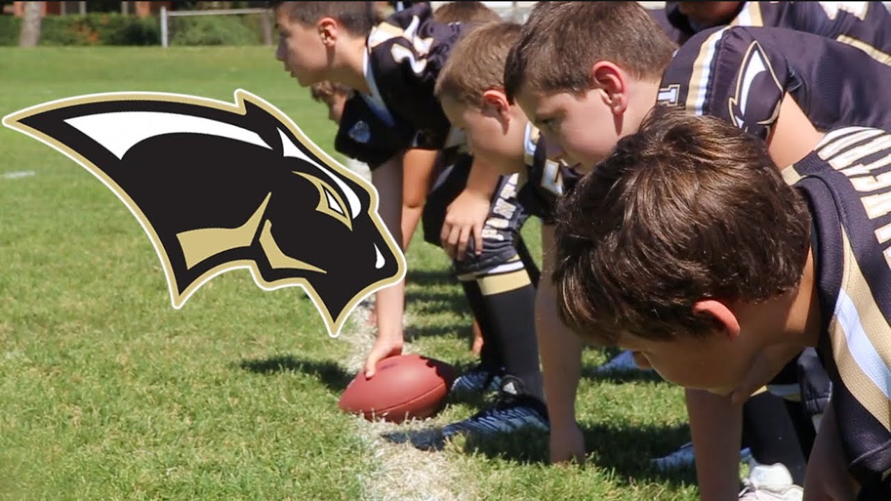 Palatine Panthers Football Highlights