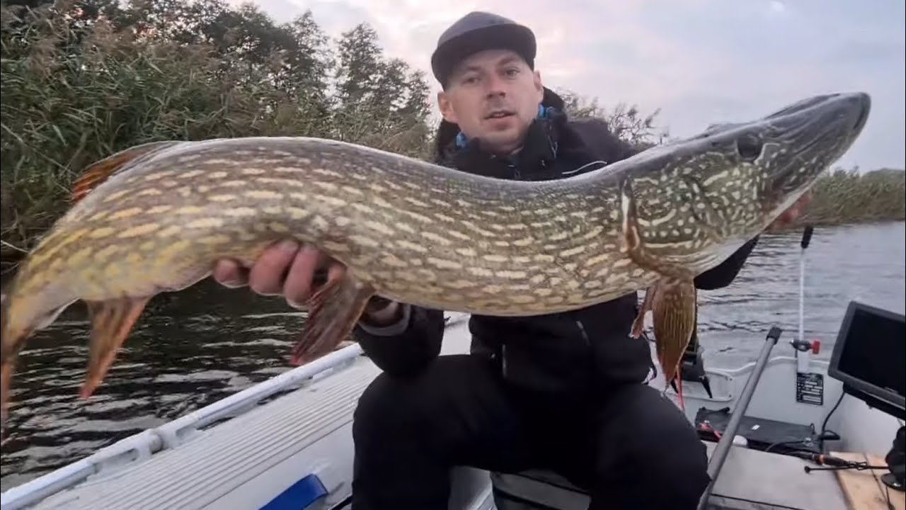 Sprzęt na jesienne szczupaki