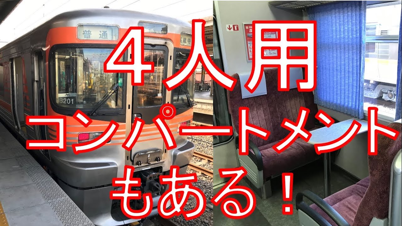 【最もハイグレードな313系】レア車両313系8000番台に普通運用で乗ってみた。名古屋→高蔵寺　乗車記