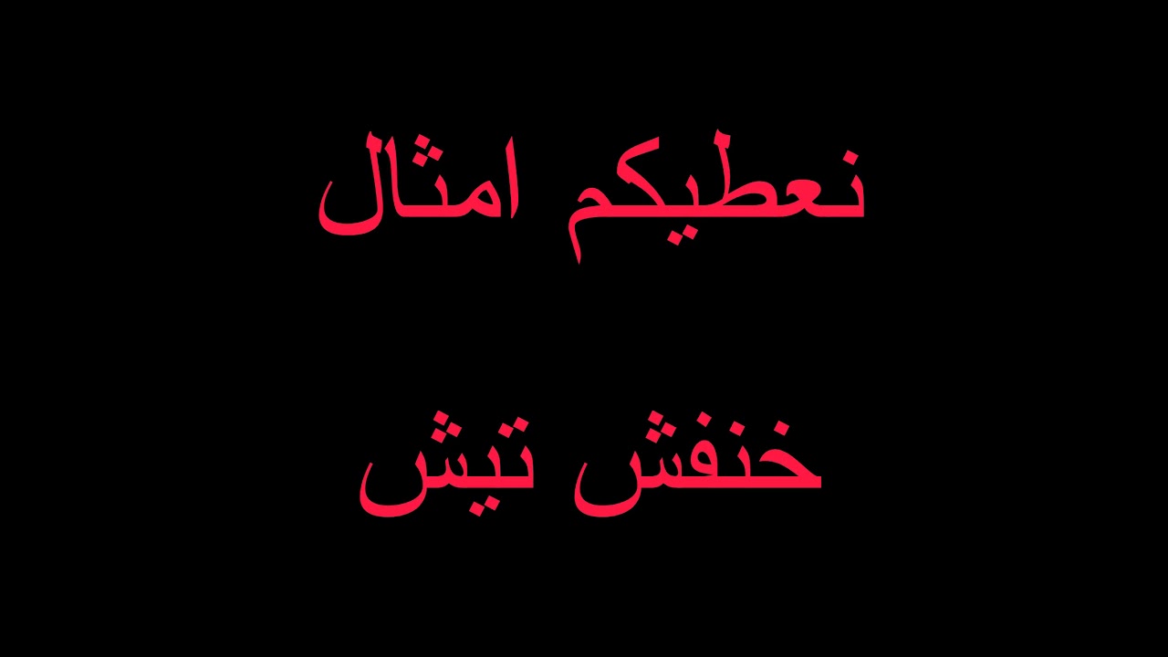 نعطيكم امثال-خنفش تيش