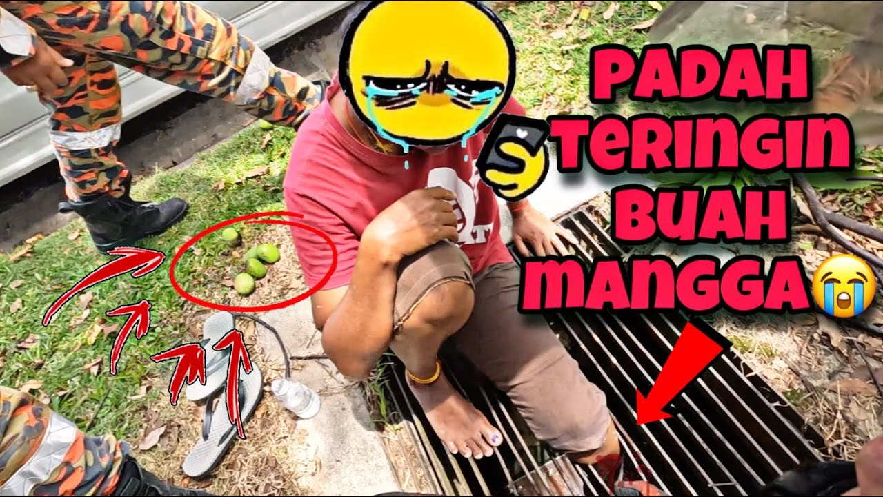 💢KAKI TERSEPIT BESI LONGKANG-CELORENG BOMBA-