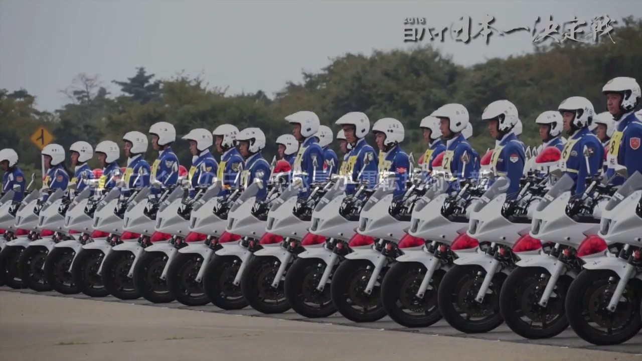 SHIRO BY CHAMPION RIDING TECHNIC 2