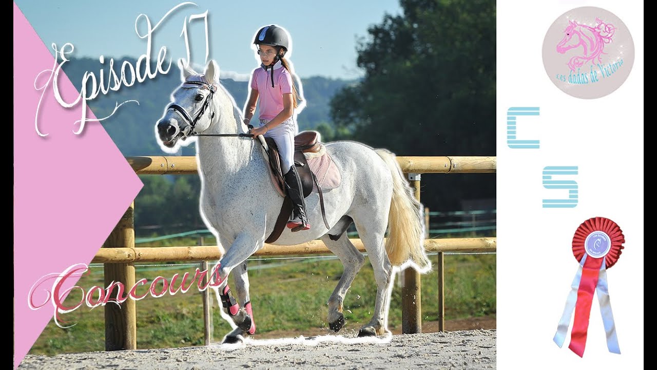 E17 * Concours CSO équitation  {saut d'obstacles}