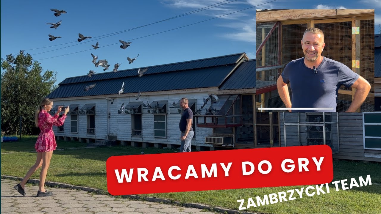 Wracamy do gry! - dołączamy podczas 3 lotu konkursowego - gołębie młode