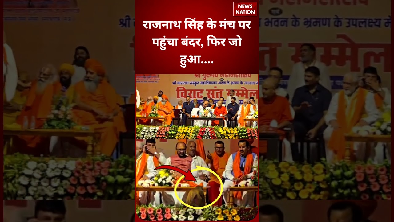 Viral Video : Rajnath Singh के मंच पर चढ़े बंदर, फिर जो हुआ! | Ayodhya Visit | Hanuman