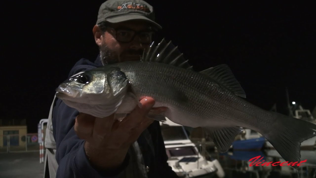 Spigole in notturna a bolognese - Pesca in foce