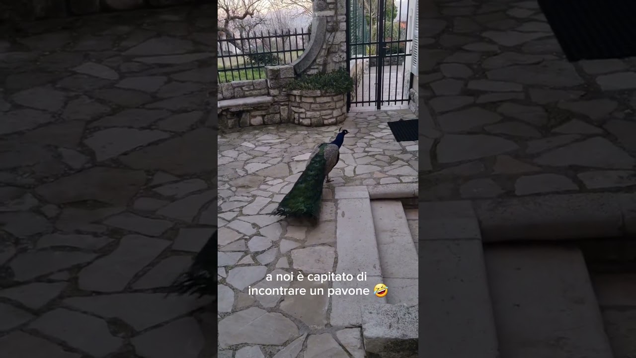 Frigento (Avellino): Balcone d'Irpinia e Via Panoramica Limiti