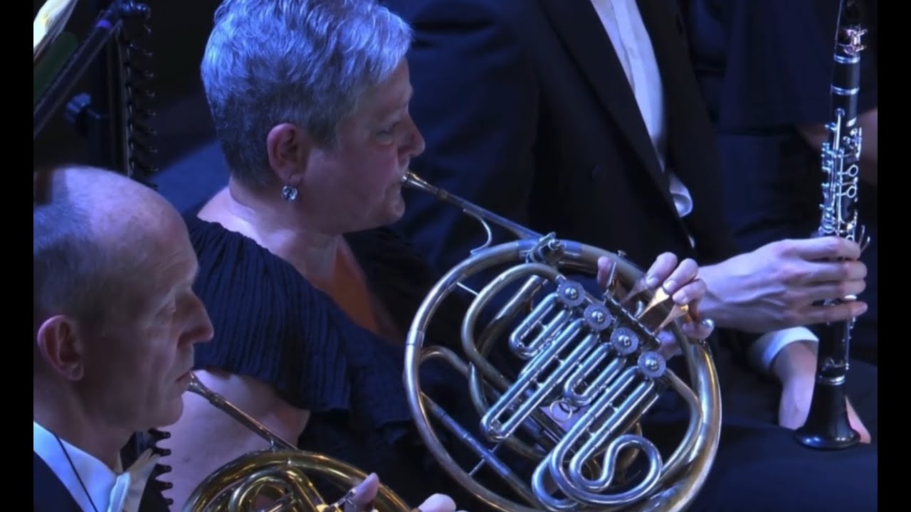 Strauss's Ein Heldenleben, Horn Solo