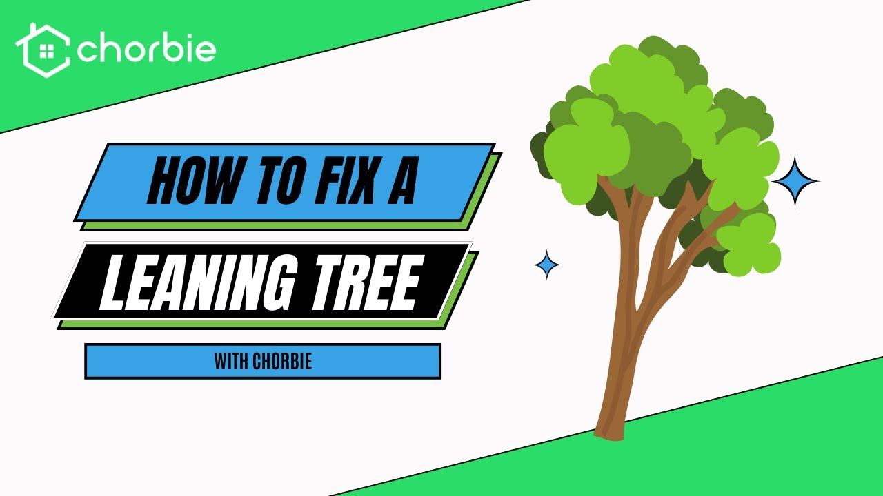 How to Fix a Leaning Tree