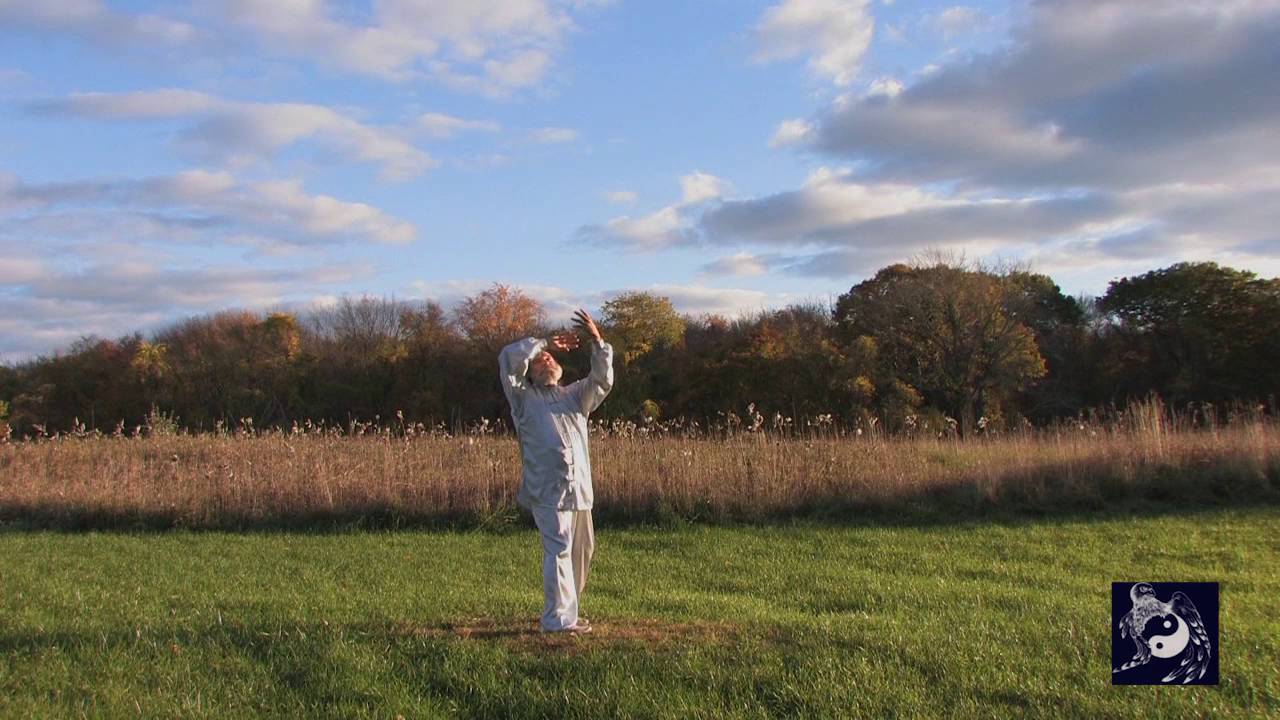 Five Elements Qigong with David Chandler