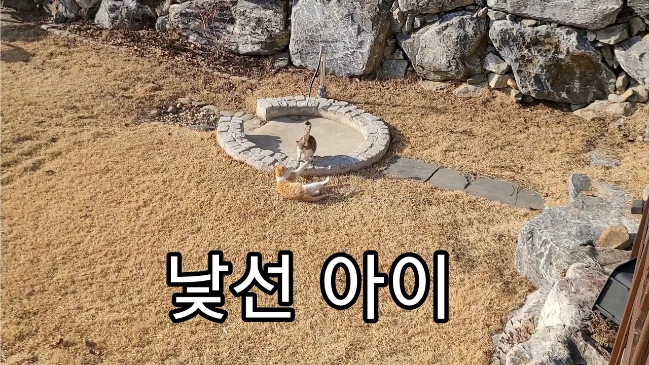 봄기운 속, 새로운 아이가 찾아왔어요