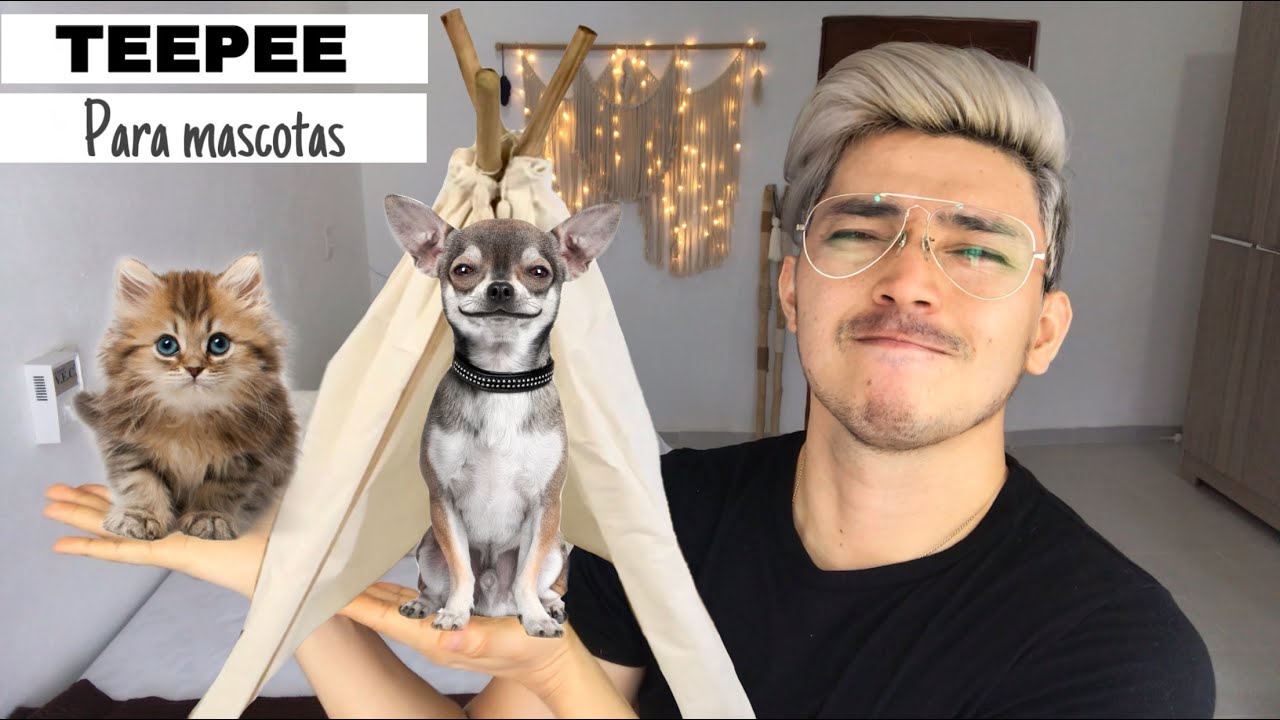 ✅ Como hacer un TEEPEE para mascotas SIN COSTURAS | Paso a paso ( DIY )