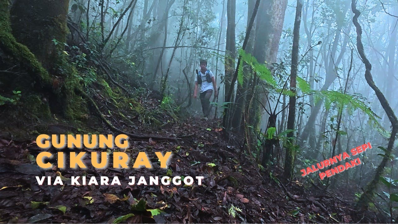 Solo Hiking Gunung Cikuray via Kiara Janggot Jalurnya Sepi Kayak Milik Sendiri, Tropical Forest ASMR