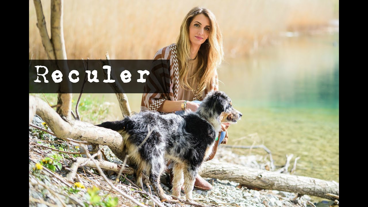 Apprendre à son chien à reculer | Cheryl Baker