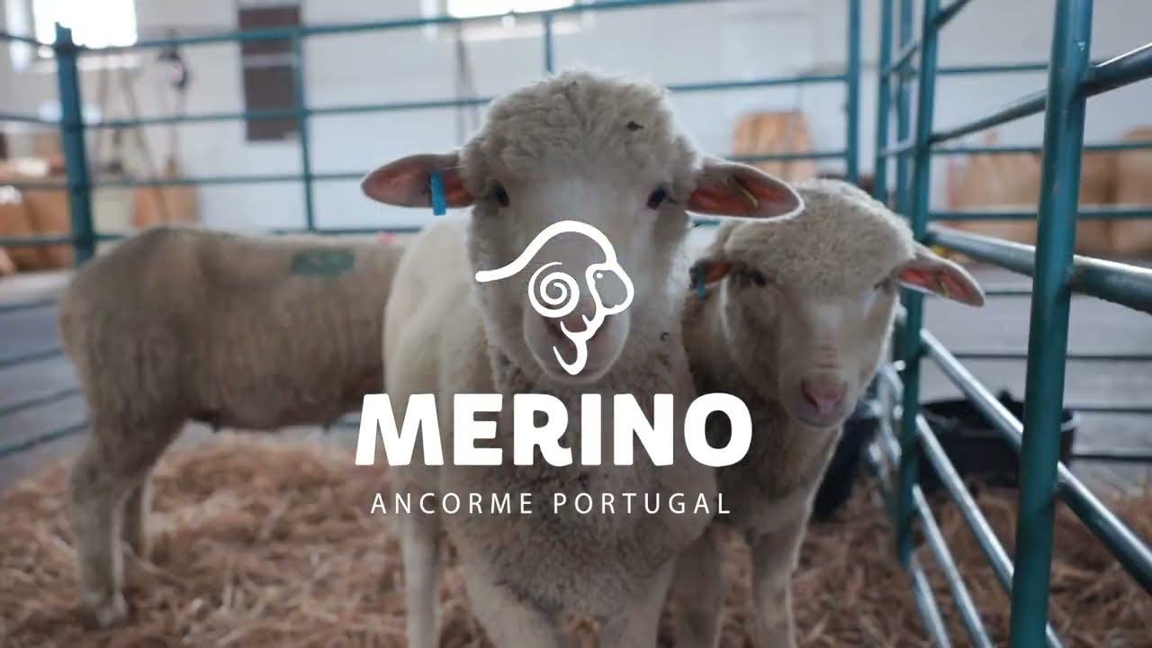 Taste Tours @ Workshop 100% Lã Merino - ANCORME